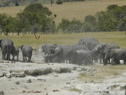 Seronera_and_Lobo2003-037